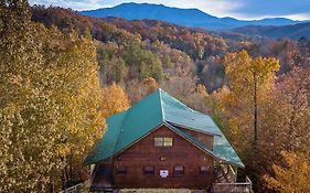 Wild Turkey Lodge